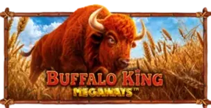 ภาพเกม Buffalo King Megaways ที่ ikai999 รวบรวมไว้